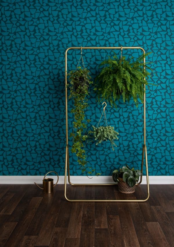 Shapes-Electra-600×849